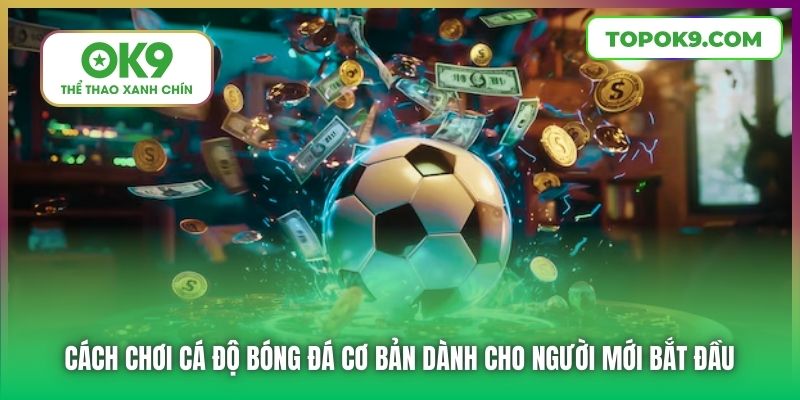 Cách chơi cá độ bóng đá cơ bản dành cho người mới bắt đầu