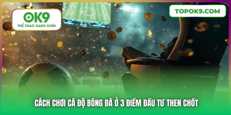 Cách chơi cá độ bóng đá ở 3 điểm đầu tư then chốt
