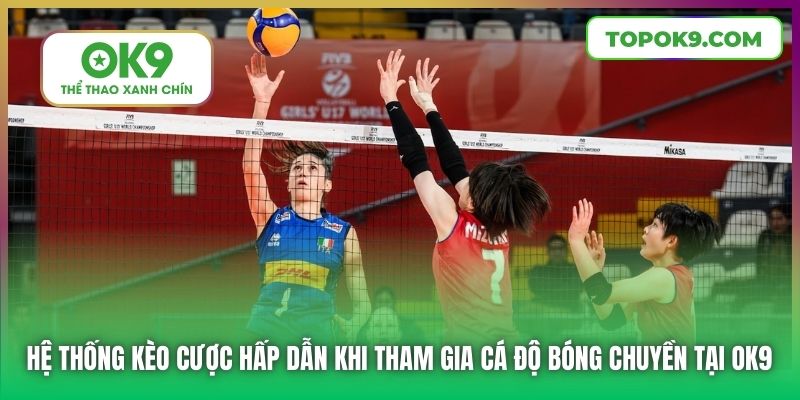 Hệ thống kèo cược hấp dẫn khi tham gia cá độ bóng chuyền tại OK9