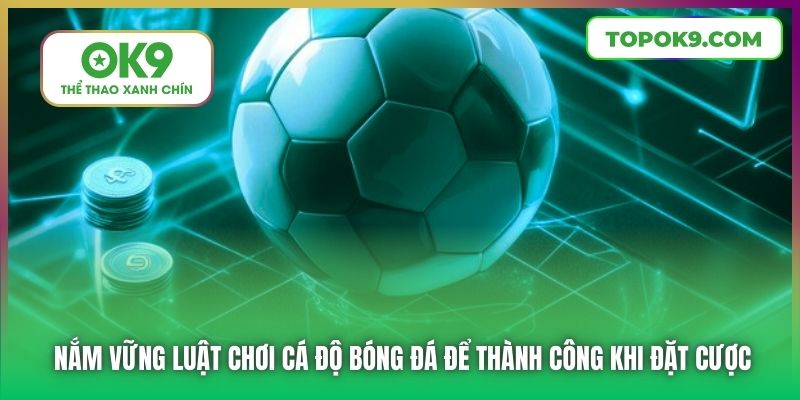 Luật chơi cá độ bóng đá dành cho 3 lựa chọn đặt cược cơ bản